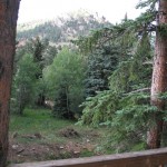 slideShow12