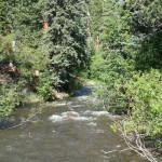 slideShow5
